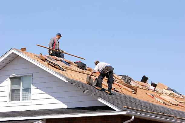 Best Cold Roofs  in El Cerrito, CA